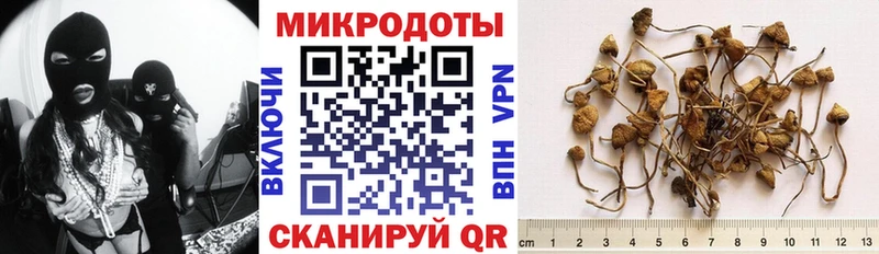 Галлюциногенные грибы Magic Shrooms  Купить закладки  Уфа 